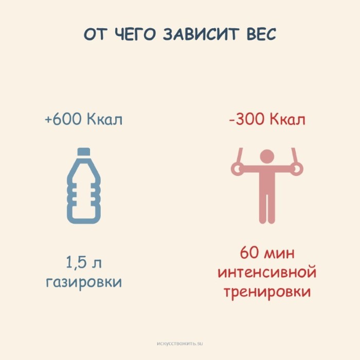 От чего зависит вес: от питания