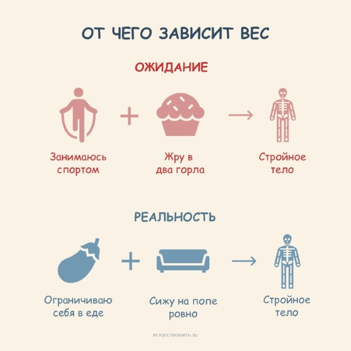 Многие ожидают стройности от занятий спортом, но стройность базируется на правильном питании